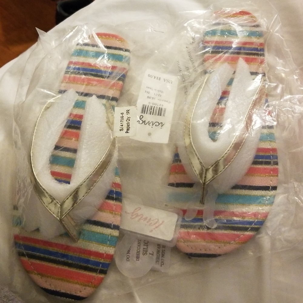 Pink and Blue Striped flip flops with Gold strap